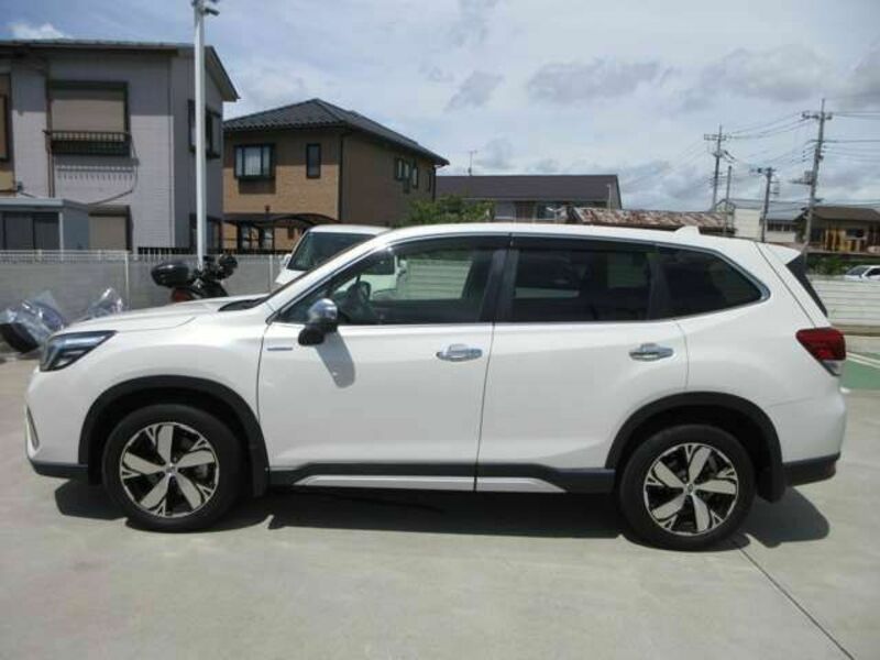 FORESTER