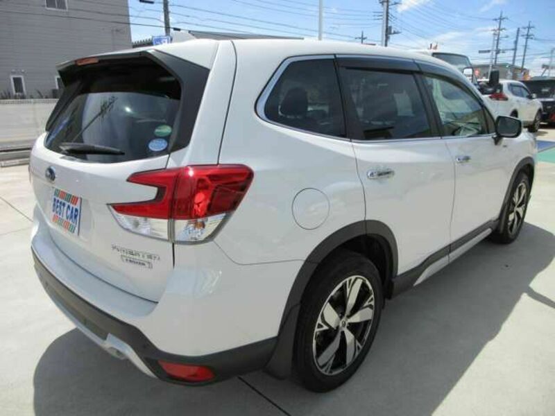 FORESTER