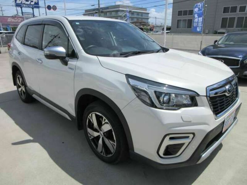 FORESTER