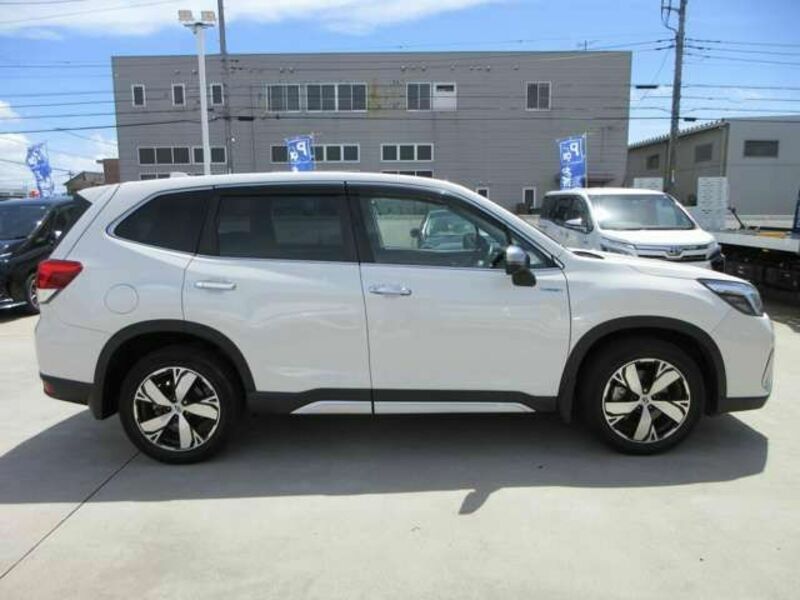 FORESTER