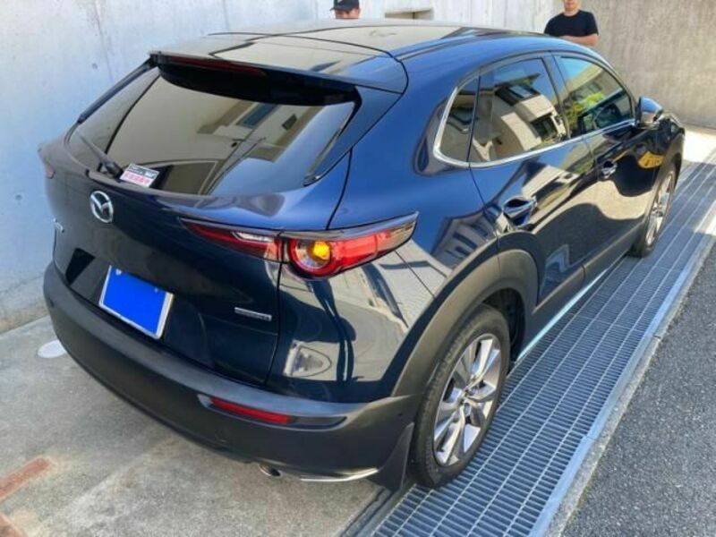 CX-30