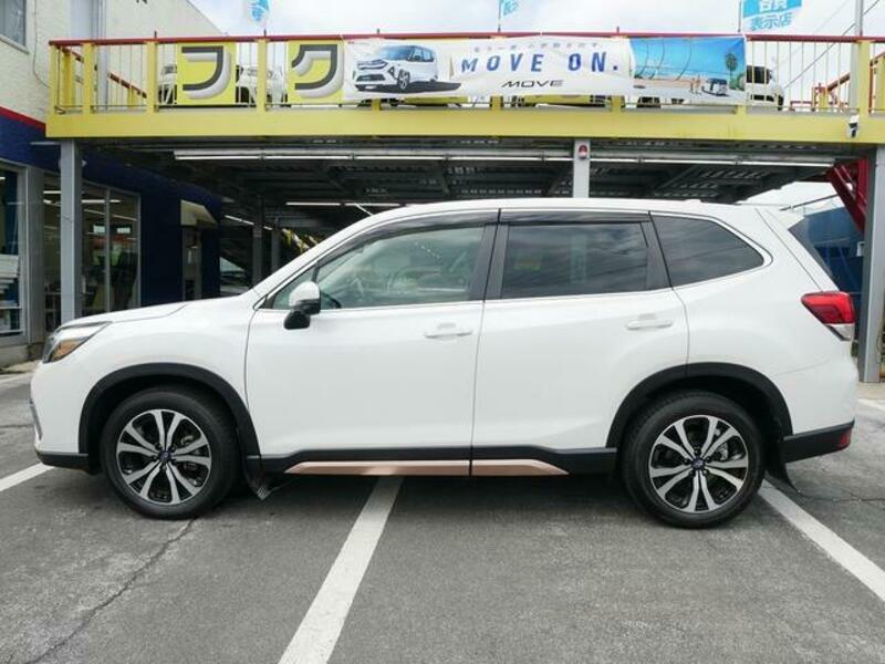 FORESTER