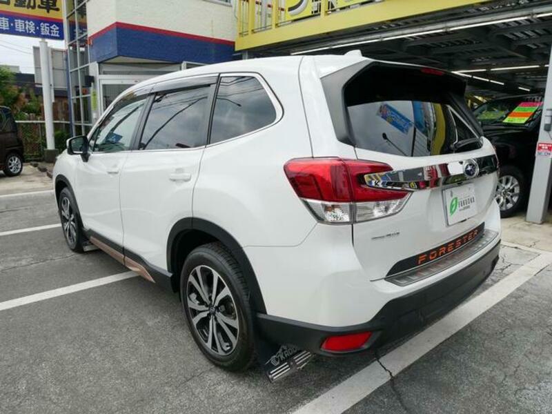 FORESTER