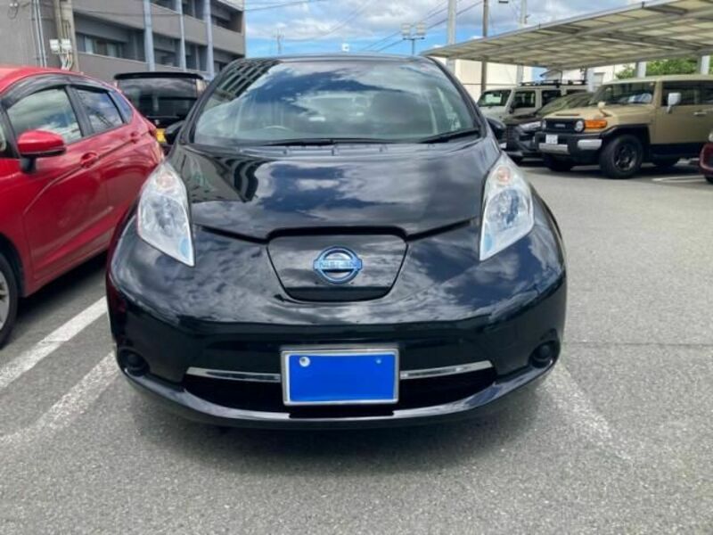 LEAF-0