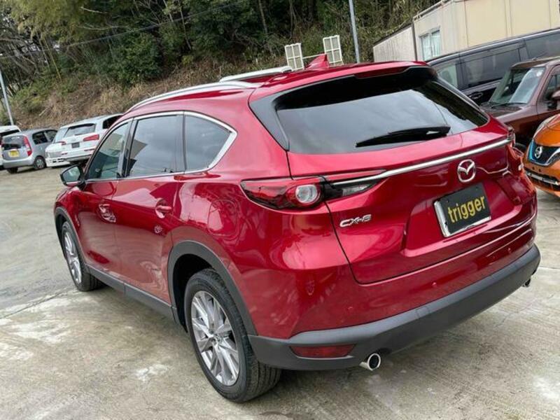CX-8