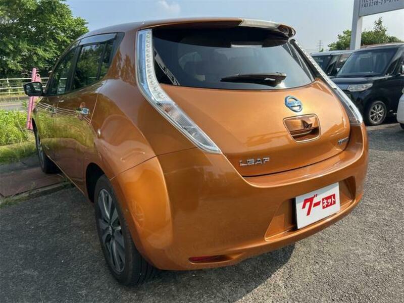 LEAF