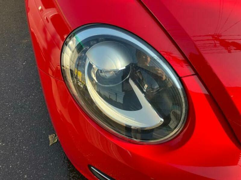 THE BEETLE