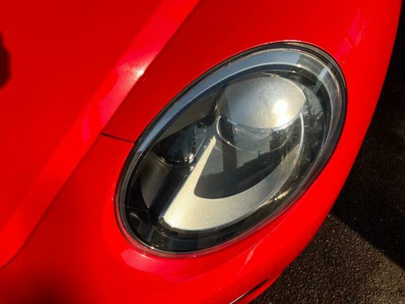THE BEETLE