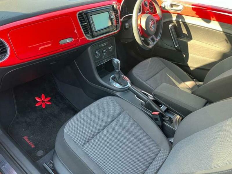 THE BEETLE