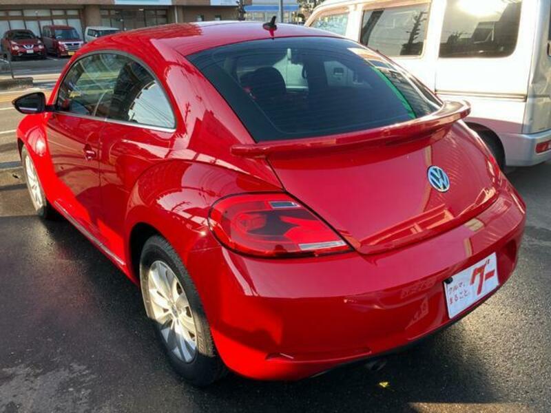 THE BEETLE