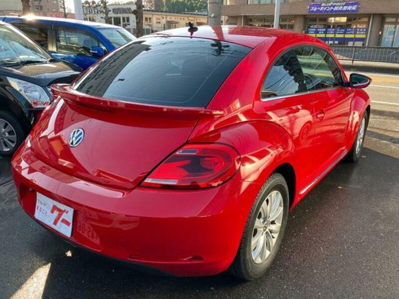 THE BEETLE