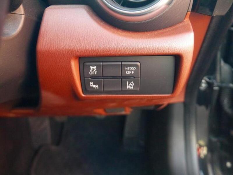 ROADSTER RF