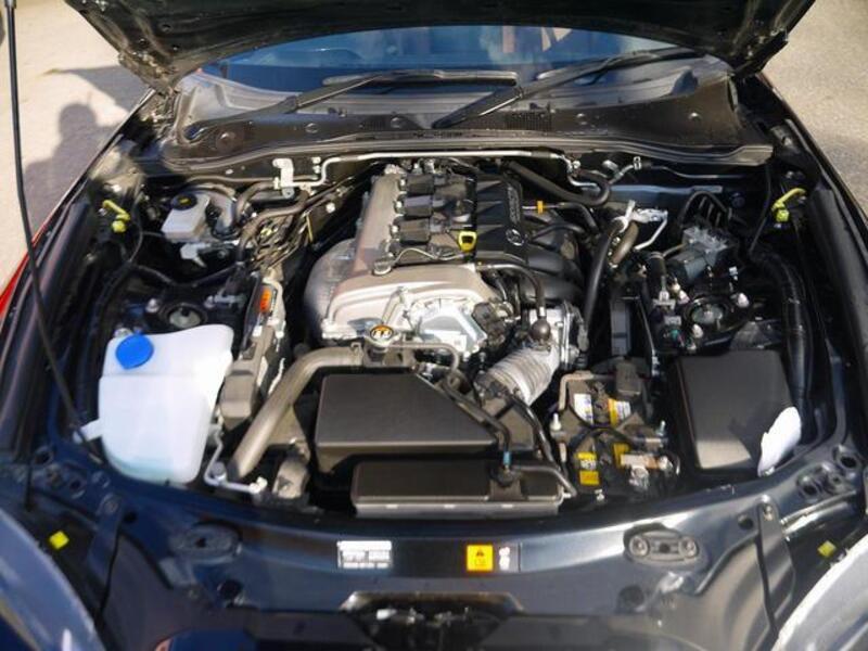 ROADSTER RF