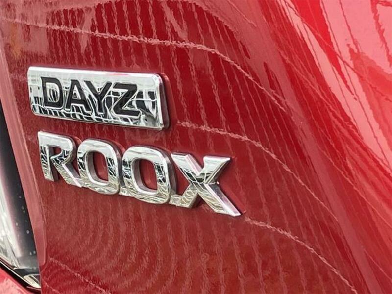 DAYZ ROOX