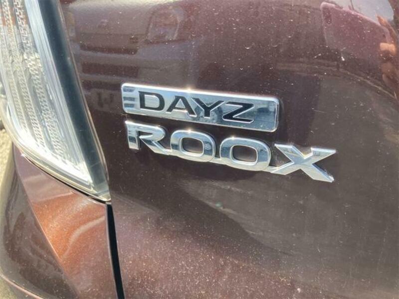 DAYZ ROOX