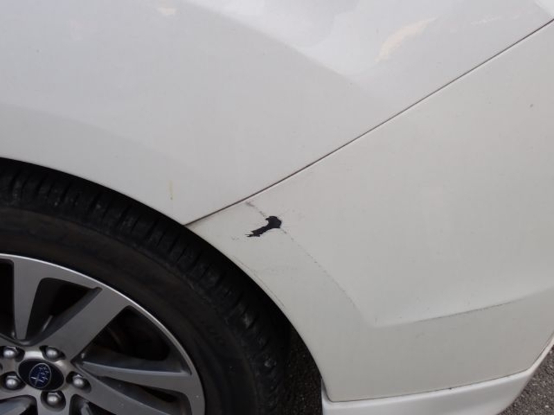 IMPREZA SPORT