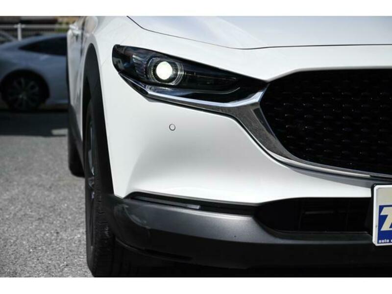 CX-30