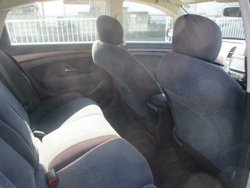 BLUEBIRD SYLPHY