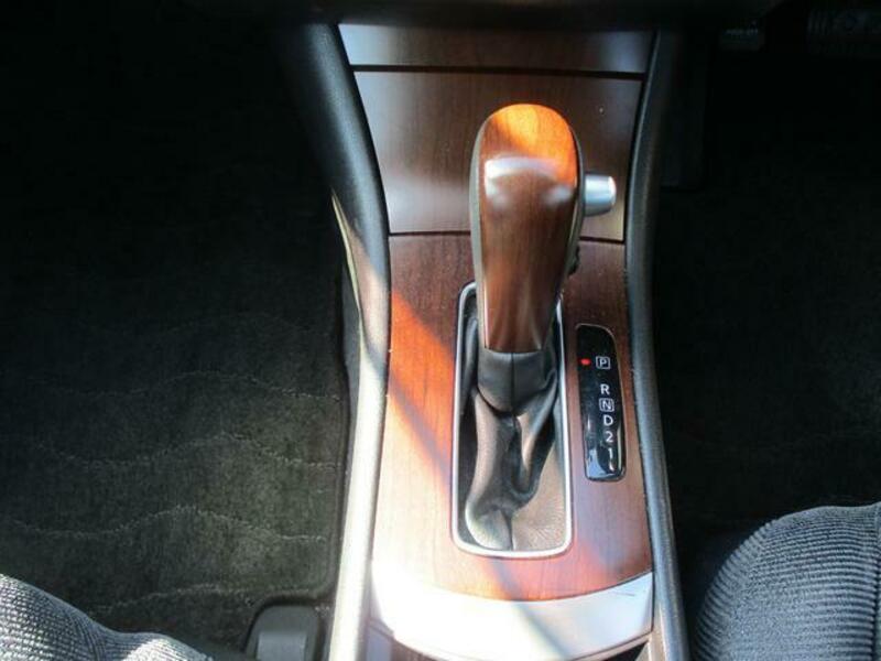 BLUEBIRD SYLPHY