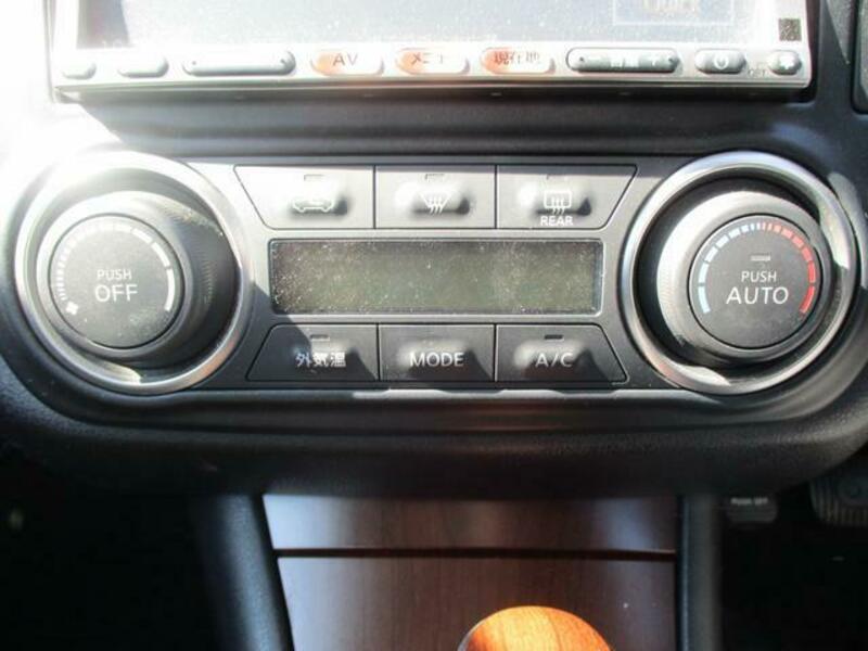 BLUEBIRD SYLPHY