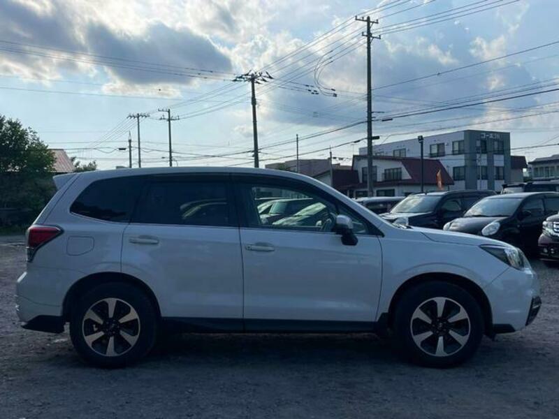 FORESTER