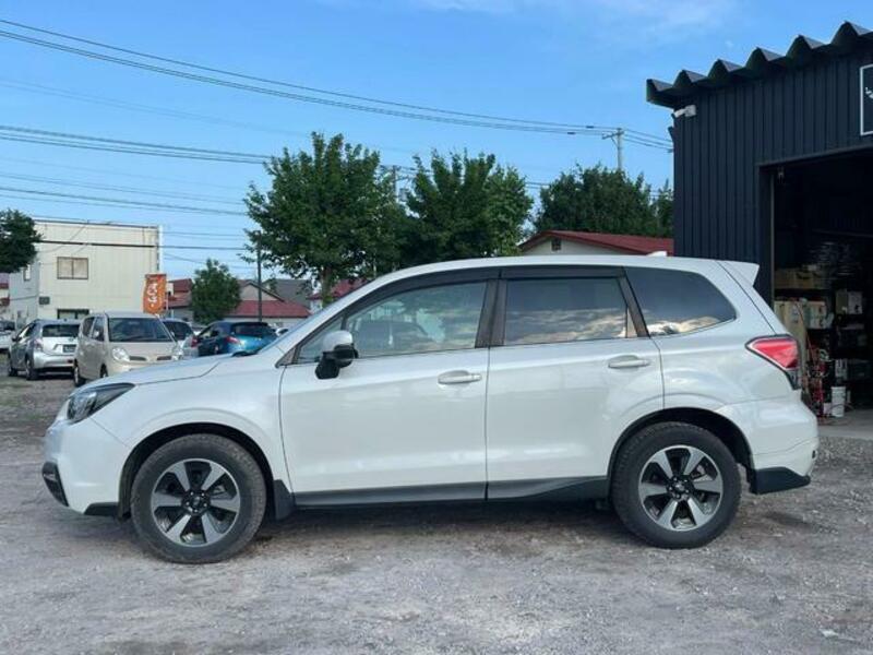 FORESTER