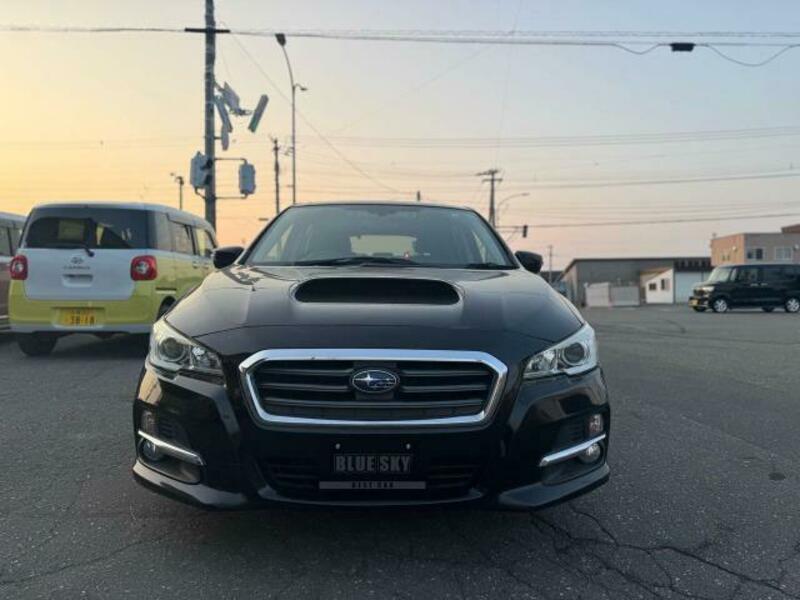 LEVORG