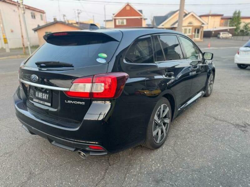 LEVORG