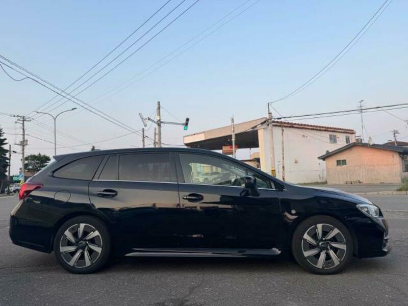 LEVORG