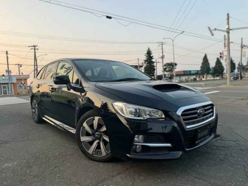 LEVORG
