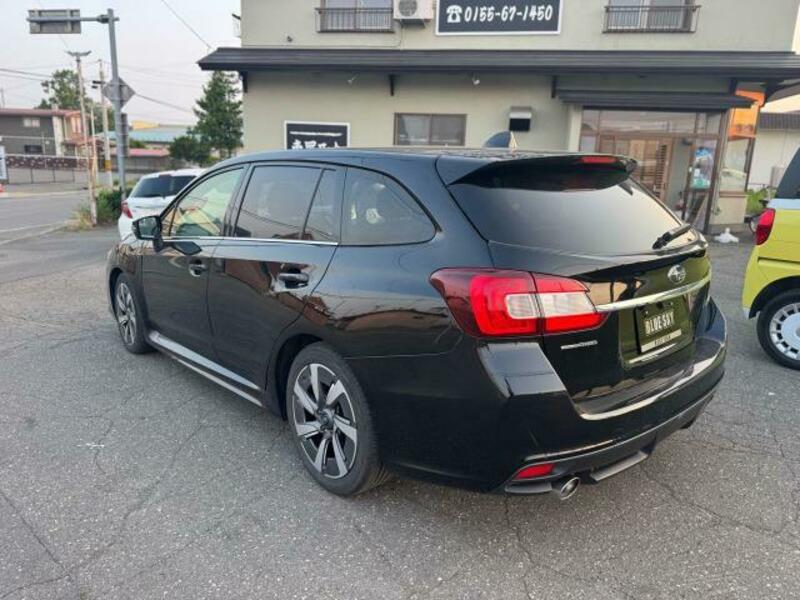 LEVORG