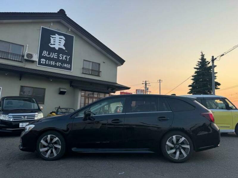 LEVORG