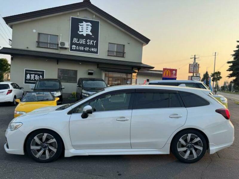 LEVORG