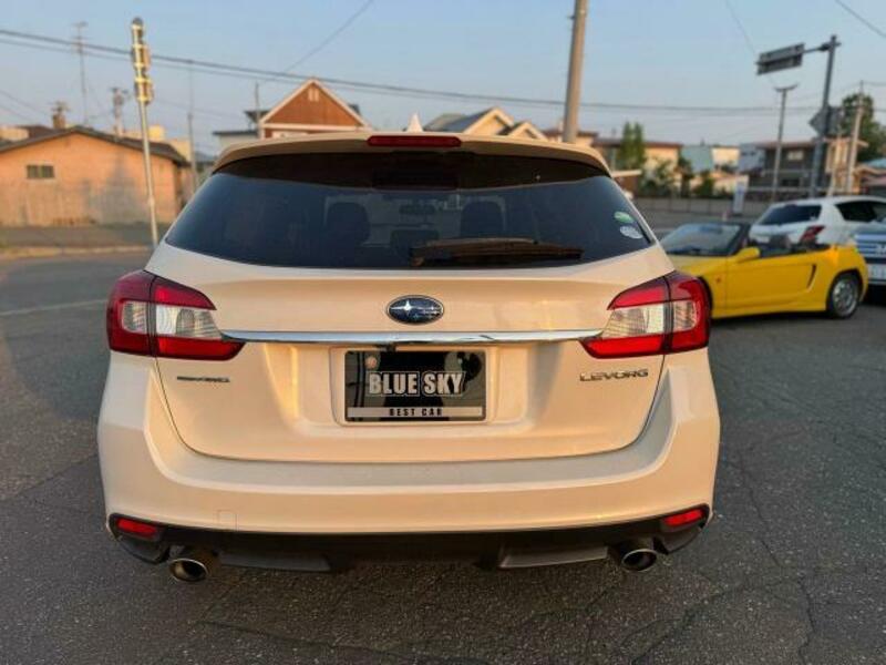 LEVORG