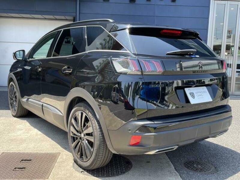 3008