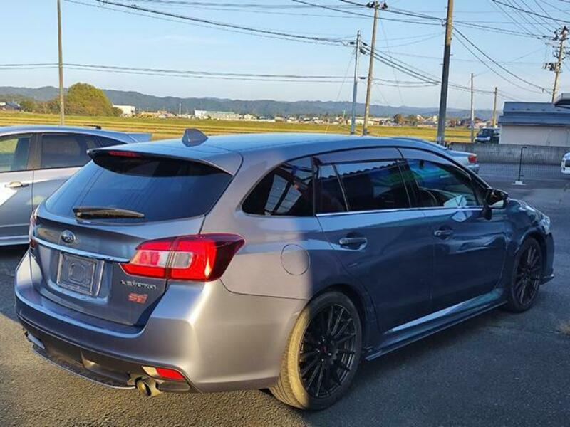 LEVORG