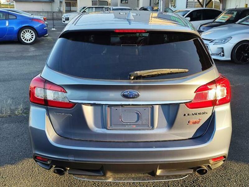 LEVORG