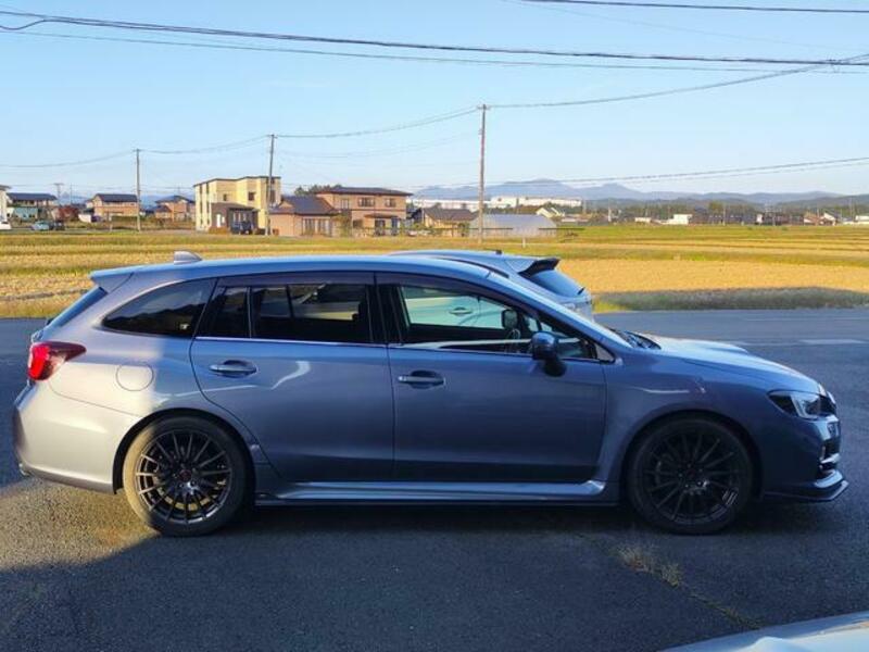 LEVORG