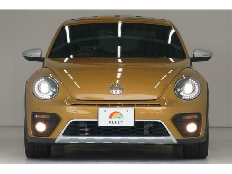 THE BEETLE