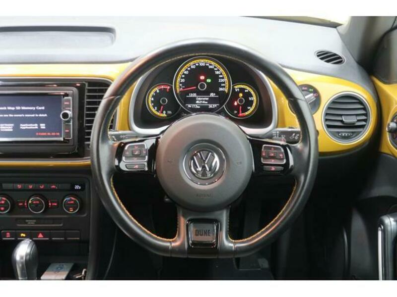 THE BEETLE