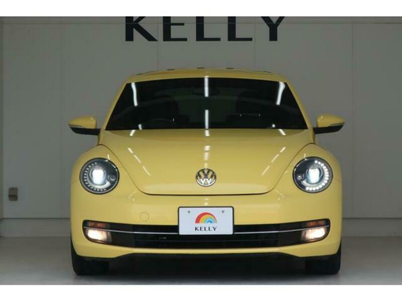 THE BEETLE