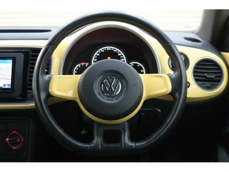 THE BEETLE