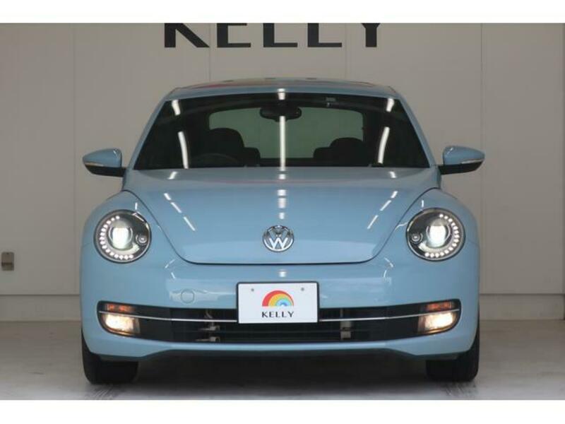 THE BEETLE
