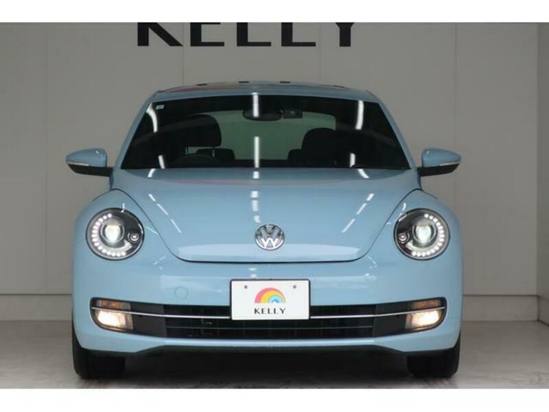 THE BEETLE