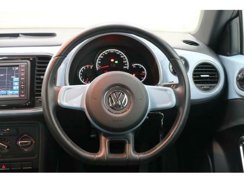 THE BEETLE
