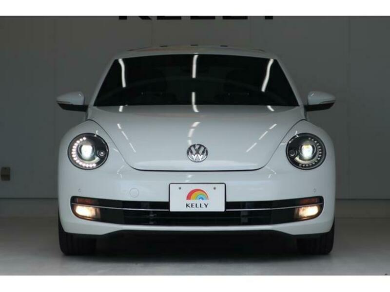 THE BEETLE