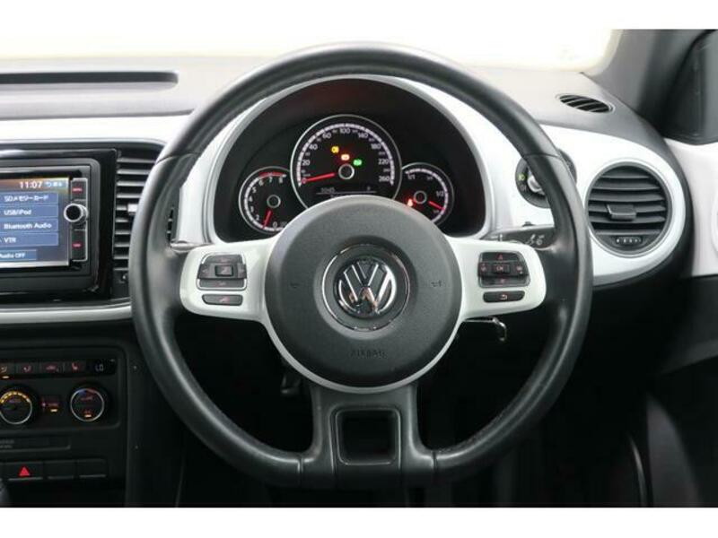 THE BEETLE