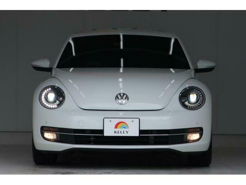 THE BEETLE