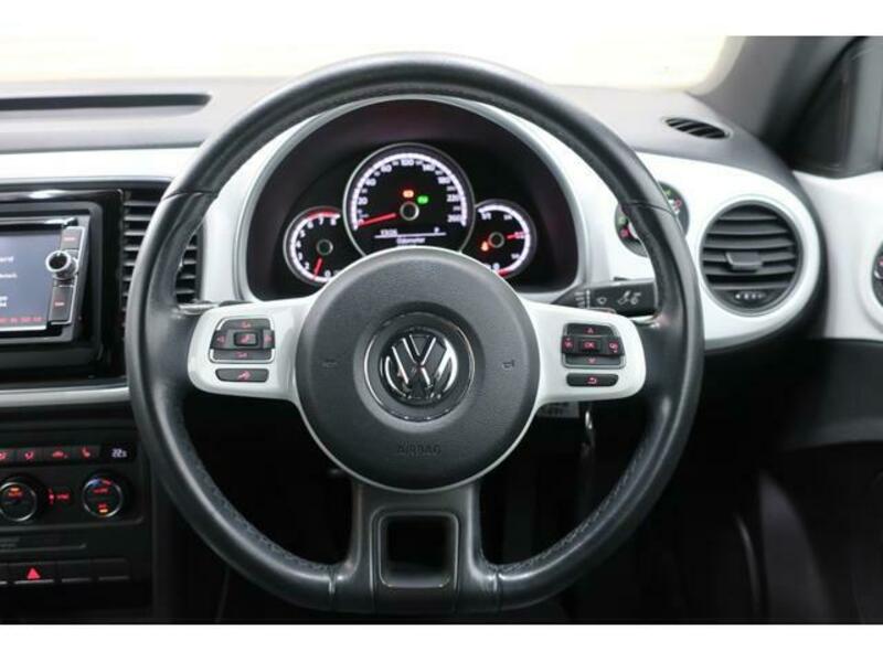 THE BEETLE