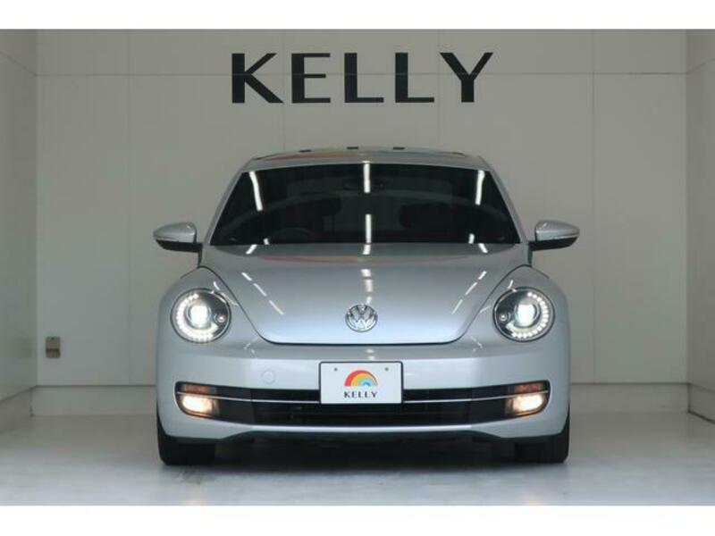 THE BEETLE